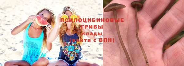 меф Арсеньев