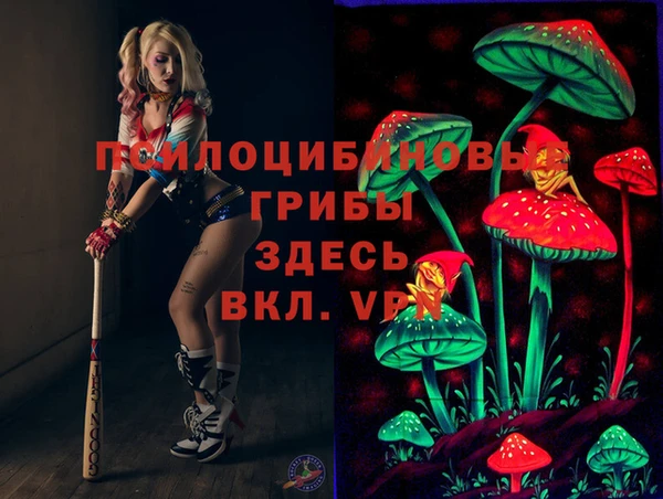 меф Арсеньев