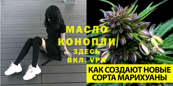 меф Арсеньев