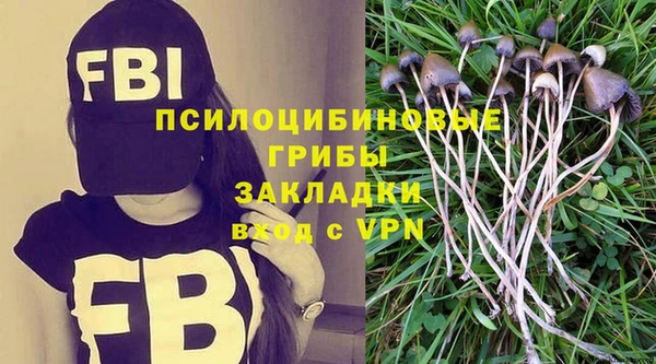 меф Арсеньев